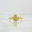 Anillo Sello Sagrado Rostro 1.25 T7 3/4 / Nudo Liso  Oro Amarillo 18K *