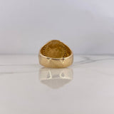 Anillo San Miguel Arcangel 11.95gr / T10 1/2 / Circones Negros Dos Oros Amarillo Blanco 18K $