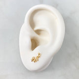 Topos Arco De Estrellas 0.85gr / 1cm / Circones Blancos Oro Amarillo 18K *