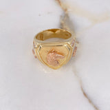 Anillo Caballo 14.1gr / T10 1/4 / Escudo Punteado Circones Blancos Tres Oros $