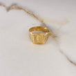 Anillo Sello Leon 3.85gr / T11 1/4 / Correa Oro Amarillo $