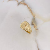 Anillo Sello Palma 3.65gr / T10 1/4 / Correa Oro Amarillo $