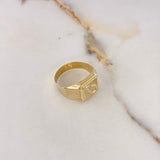 Anillo Sello Herradura 2.35gr / T9 1/2 / Circon Blanco Oro Amarillo $