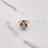 Anillo Pingüino 4.95gr / T6 3/4 / Circones Blancos Negros Dos Oros Amarillo Blanco $