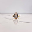 Anillo Pingüino 4.9gr / T6 1/2 / Circones Blancos Negros Dos Oros Amarillo Blanco $