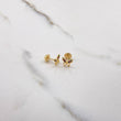 Topos Mariposa Silueta 0.8gr / Lisos Circones Colores Oro Amarillo $