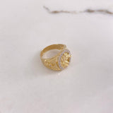 Anillo Herradura Caballo 5.9gr / T7 / Texturizado Circones Blancos Oro Amarillo $