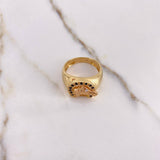 Anillo Caballo Herradura  7.85gr / T9 1/4 / Circones Blancos Negros  Dos Oros Amarillo Rosa (Oferta) &