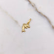 Dije Delfin 0.4gr / 1.8cm / Liso Oro Amarillo &