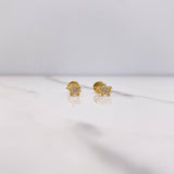 Topos Tortuga 0.65gr / Circones Blancos Oro Amarillo &