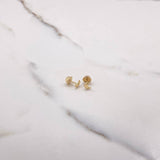 Topos Luna 0.4gr / Lisa Oro Amarillo $