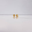 Topos Luna 0.4gr / Lisa Oro Amarillo $