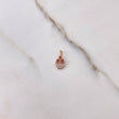 Dije Buhó 0.5gr / 1.3cm / Circones Blancos Fucsias Oro Rosa $