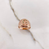 Anillo Sello Herradura Caballo 3.5gr / T9 1/2 / Circones Verdes Oro Rosa &