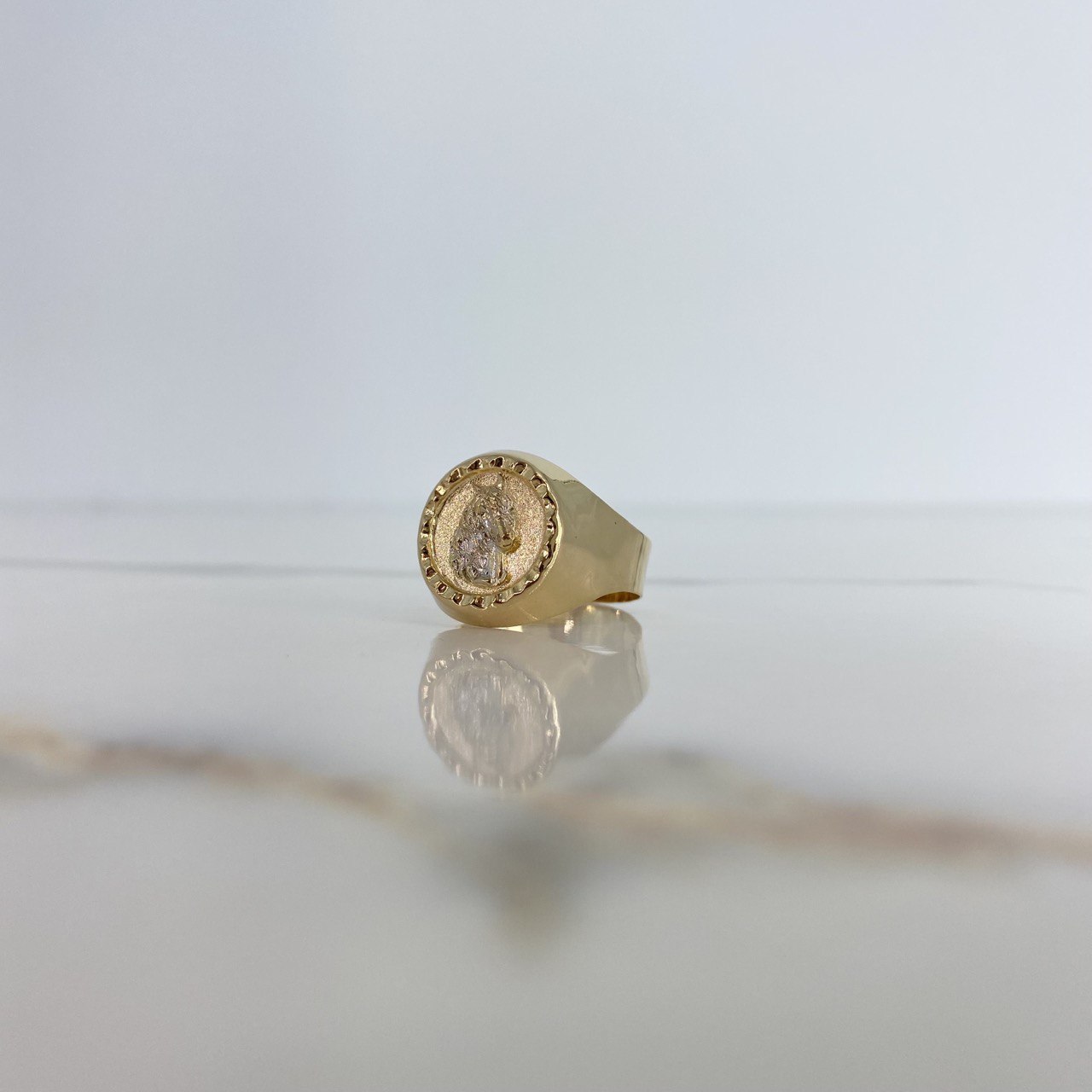 Anillo Sello Caballo 3.45gr / T10 1/4 / Dos Oros Amarillo Blanco &