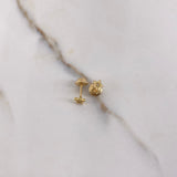 Topos Estrella 0.7gr / Circon Blanco Oro Amarillo $