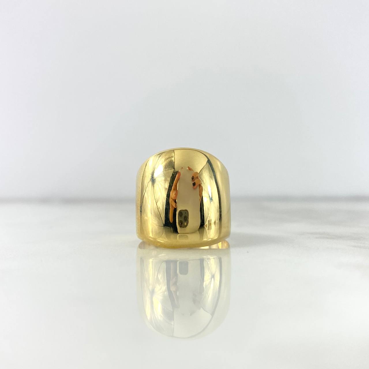 Anillo Sello Liso 3.05gr / T7 1/2 / Oro Amarillo