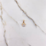 Dije Huella 0.8gr / 1.5cm / Circones Blancos Oro Amarillo $