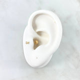 Piercing Chispa Cuatro Garras 0.3gr / 1.2cm / Circon Blanco Oro Amarillo (Joya)