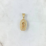 Dije Virgen Guadalupe 2.9gr / 3cm / Silueta Lisa Circones Azules Fucsias Oro Amarillo *