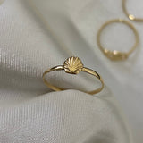 Anillo Concha 0.65gr - T6 Oro Amarillo