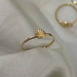 Anillo Concha 0.65gr - T6 Oro Amarillo