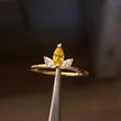 Anillo Flor Frangipani 1.05gr-T6 3/4 Circones Blancos Ambar Oro Amarillo